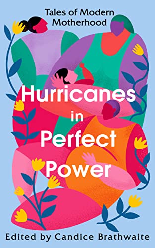Hurricanes in Perfect Power: Tales of Modern Motherhood (Vintage Classics)
